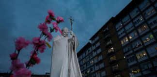 Papa Francisco