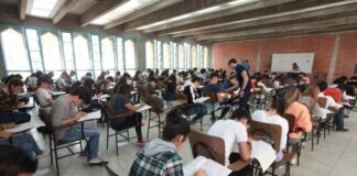 Docentes