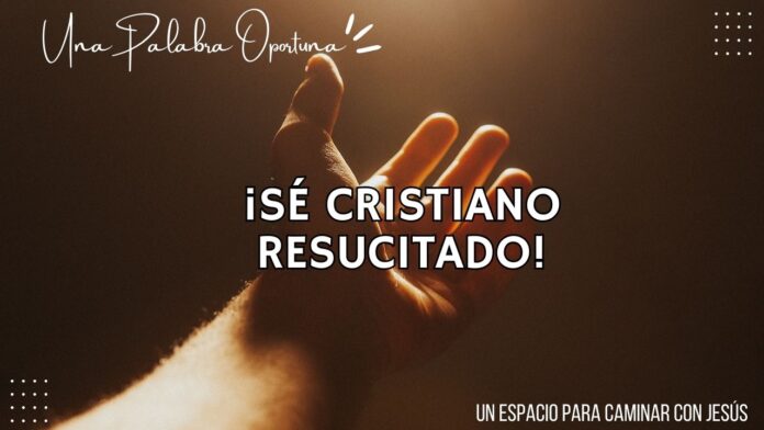 Una Palabra Oportuna