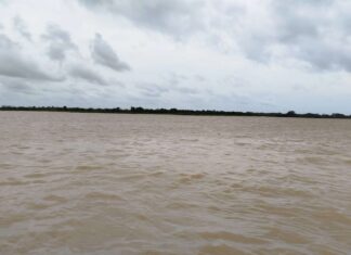 En Hipódromo Viejo están preocupados por crecida del río Orinoco