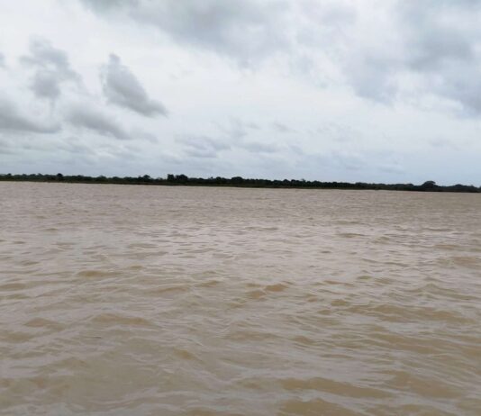 En Hipódromo Viejo están preocupados por crecida del río Orinoco