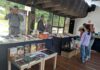 Libros usados cobran vida en la ruta hacia la Filuc en Carabobo