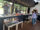 Libros usados cobran vida en la ruta hacia la Filuc en Carabobo