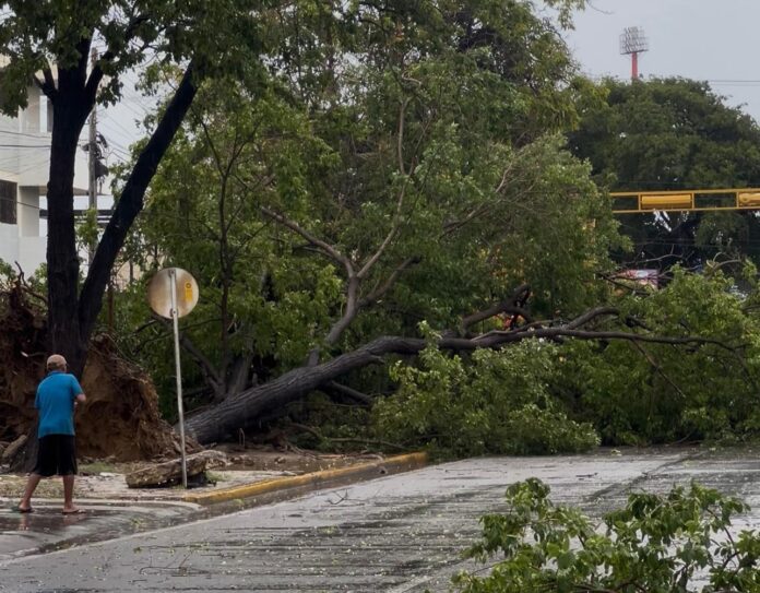 Cumaná, Sucre
