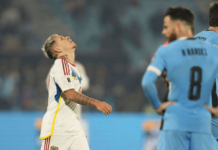 La vinotinto