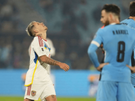 La vinotinto