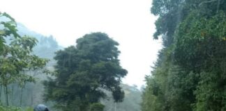 Lluvias