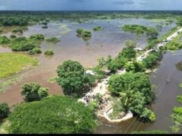 Población de El Samán, municipio Achaguas, Apure