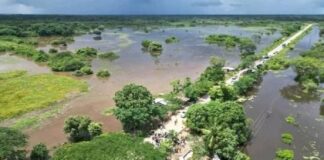 Población de El Samán, municipio Achaguas, Apure