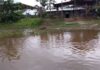 Waraos cosechas crecida río Orinoco