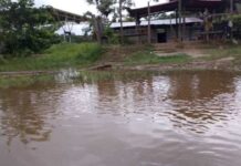 Waraos cosechas crecida río Orinoco