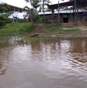 Waraos cosechas crecida río Orinoco