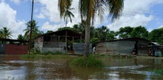 Familias de Araguaimujo: entre mudarse y levantar trojas por las inundaciones del río Orinoco