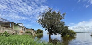 Urgen mapas de riesgo y plan de ordenamiento ante crecidas del Orinoco