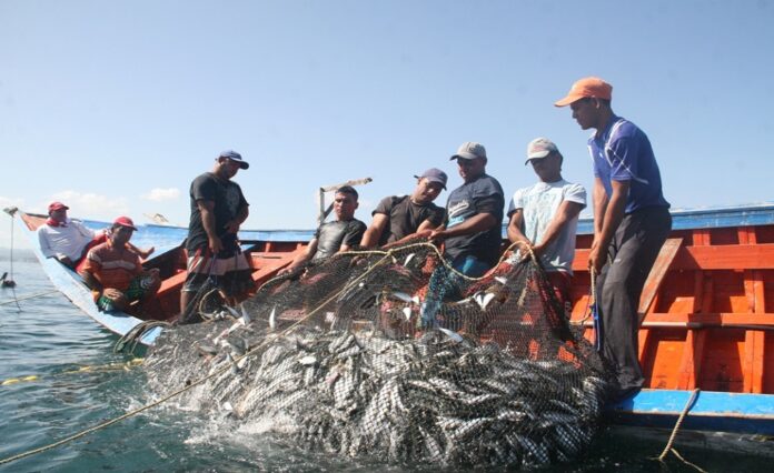 Pescadores-sardinas
