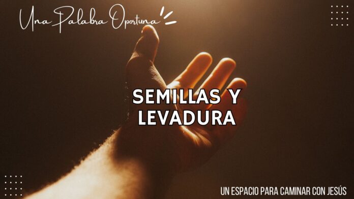 UPO 21-07-2025 MAÑANA Una Palabra Oportuna