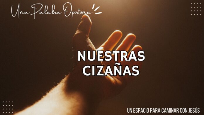 UPO 26-07-2025 MAÑANA Una Palabra Oportuna