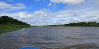 Tres zonas de Delta Amacuro están bajo amenaza de inundaciones por crecida de río Orinoco
