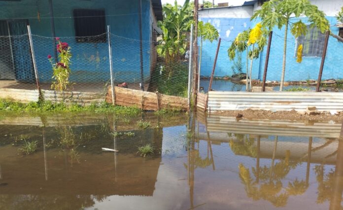 Aumento del río Orinoco (1)