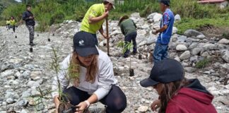 En Mérida hicieron una jornada de reforestación en zonas afectadas por las lluvias