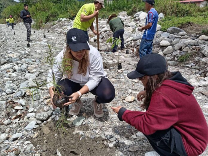 Jornada de reforestación