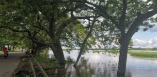 Nivel del río Apure superó el alerta roja