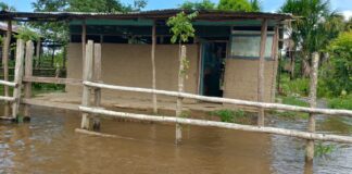 Reportan brote de fiebre y gripe en una comunidad indígena en Delta Amacuro