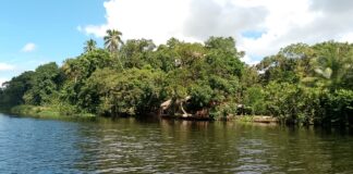 Más de 15 familias están enfermas por brote en Tucupita fluvial