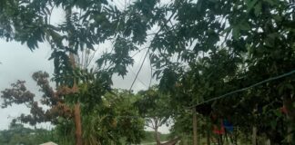 Río Orinoco supera la alerta roja en Delta Amacuro y deja 70 comunidades inundadas