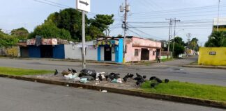 A San Fernando se lo come la basura Los zamuros "bailan" entre la basura en San Fernando