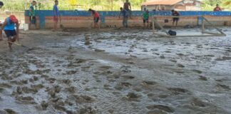 Jóvenes limpian cancha deportiva afectada por la crecida del Orinoco en Araguaimujo