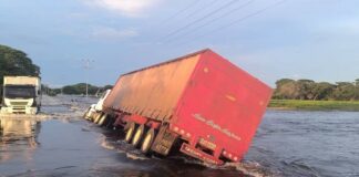 Camión volteado vía a San Juan de Payara, Apure