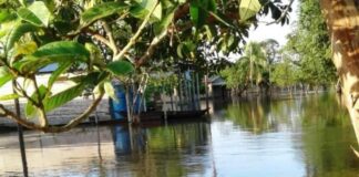 Roban en casas desalojadas por la crecida del Orinoco en Araguaimujo