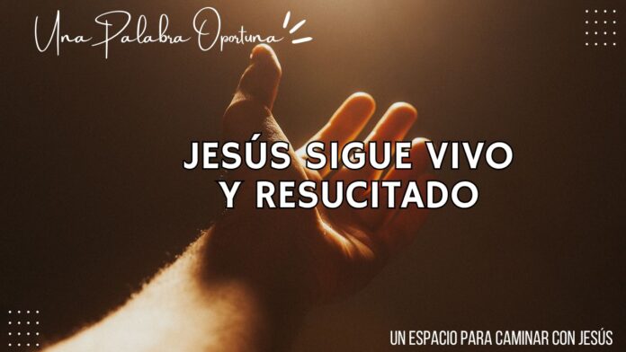 Una Palabra Oportuna