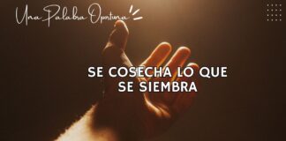 Una Palabra Oportuna 4229 Una Palabra Oportuna