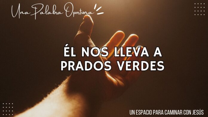 Una Palabra Oportuna