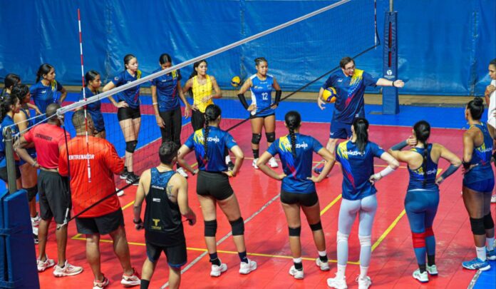 Voleibol