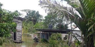 El río Orinoco comenzó a bajar en Delta Amacuro