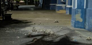 Rescatista Vidarte: Venezuela es un país sísmico y en cualquier momento puede temblar