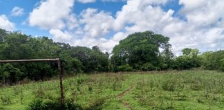 Reportan abandono de dos espacios deportivos de una zona indígena del Delta