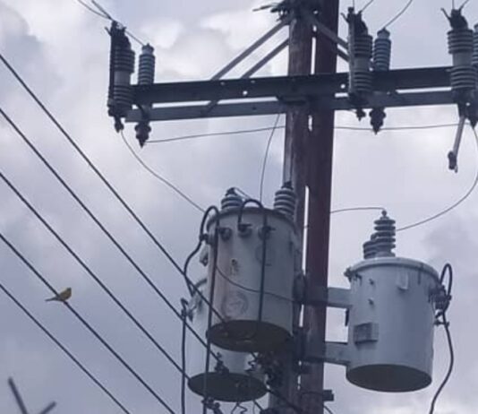 Vecinos de la calle Codazzi en San Juan de los Morros viven entre apagones