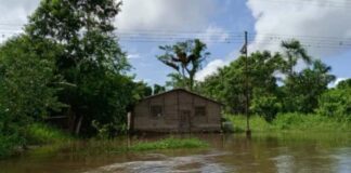 En el Delta Medio reconstruyen sus casas con los restos que quedaron tras afectaciones del Orinoco