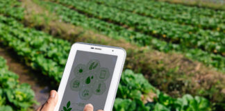Adopción de agrotecnología en Venezuela sigue siendo limitada