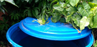 Por enésima vez San Fernando se quedó sin agua San Fernando se quedó sin agua potable