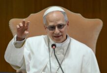 El papa pide que cese la violencia en el Sahel