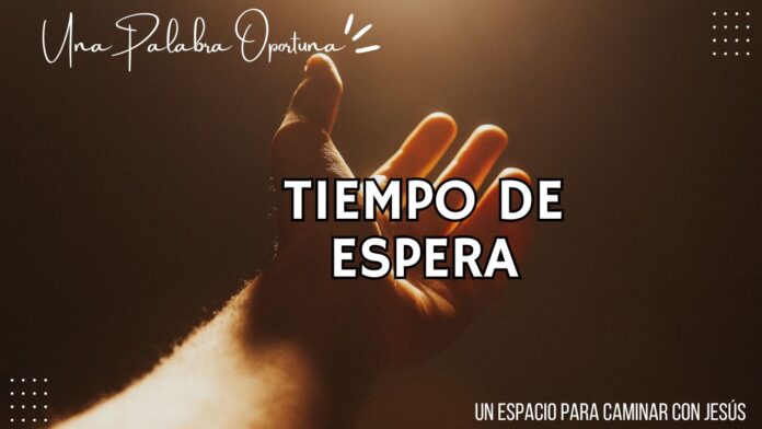 UPO 30-11-2025 MAÑANA Una Palabra Oportuna