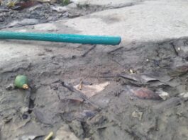 Tucupita se quedó sin agua por fallas en las bombas de la planta Nº2