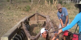 Fe y Alegría apuesta por la educación agropecuaria para la producción de alimentos Educación agropecuaria