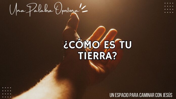 Una Palabra Oportuna