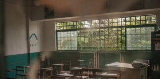 Día Internacional de la Educación